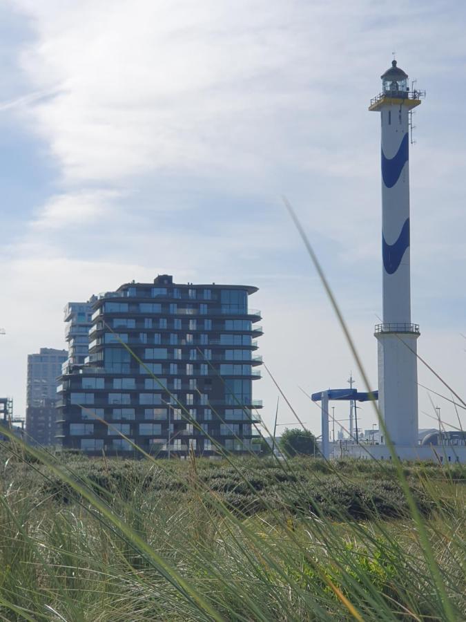 Central Park Tower Sea View Residence With Pool And Gym Ostende Exterior foto
